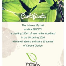 carbon-offsetting-certificate-smallcarbigcity